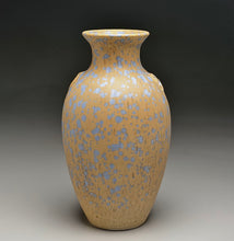 Load image into Gallery viewer, Dogwood Vase in Stardust Blue, 8.5"h (Ben Owen III)