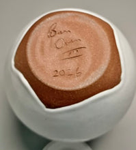 Load image into Gallery viewer, Lidded, Handled Jar in Dogwood White, 8.75"h (Ben Owen III)