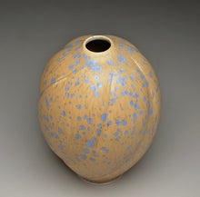 Load image into Gallery viewer, Melon Egg Vase in Stardust Blue, 8"h (Ben Owen III)
