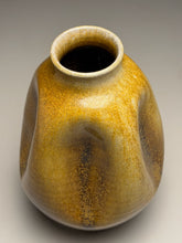 Load image into Gallery viewer, Dimpled Globe Vase in Celadon Amber, 9.25"dia. (Ben Owen III)