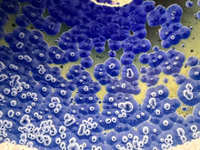Load image into Gallery viewer, Trumpet Flair Bowl in Cobalt Crystalline, 16.5"dia. (Ben Owen III)