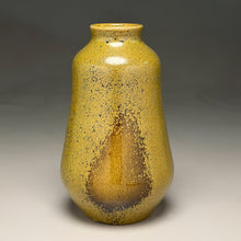 Load image into Gallery viewer, Gourd Flower Vase in Frogskin, 8.75"h (Ben Owen III)
