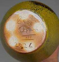 Load image into Gallery viewer, Gourd Flower Vase in Frogskin, 8.75"h (Ben Owen III)