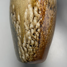 Load image into Gallery viewer, Altered Bottle #2 in Natural Ash Glaze, 10.5"h (Ben Owen III)