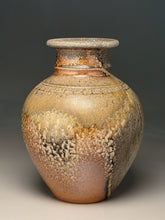 Load image into Gallery viewer, Contoured Vase in Natural Ash Glaze, 9.75"h (Silas Bradley)