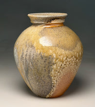 Load image into Gallery viewer, Contoured Vase in Natural Ash Glaze, 8.25"h (Silas Bradley)