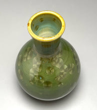 Load image into Gallery viewer, Genie Bottle #1 in Lily Pad Green Crystalline, 5.75"h (Ben Owen III)