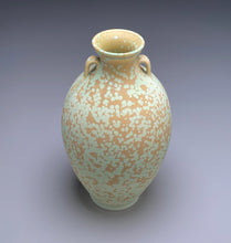 Load image into Gallery viewer, Two-Handled Vase in Stardust Green, 11.75"h (Ben Owen III)