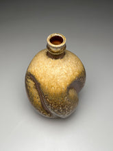 Load image into Gallery viewer, Melon Bottle in Ash Glaze, 10.25"h (Ben Owen III)