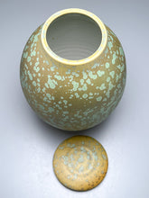 Load image into Gallery viewer, Covered Jar in Stardust Green, 11.75"h (Ben Owen III)