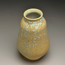 Load image into Gallery viewer, Gourd Flower Vase in Stardust Green, 8.75"h (Ben Owen III)
