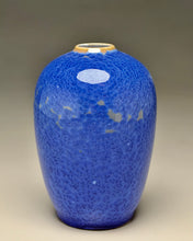 Load image into Gallery viewer, Egg Vase in Cobalt Crystalline, 5.75"h (Ben Owen III)
