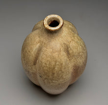 Load image into Gallery viewer, Melon Bottle in Ash Glaze, 9.5"h (Ben Owen III)
