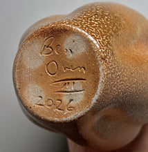 Load image into Gallery viewer, Melon Bottle in Ash Glaze, 9.5"h (Ben Owen III)

