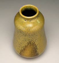 Load image into Gallery viewer, Gourd Flower Vase in Frogskin, 8.75"h (Ben Owen III)
