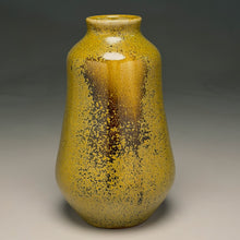 Load image into Gallery viewer, Gourd Flower Vase in Frogskin, 8.75"h (Ben Owen III)

