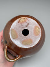 Load image into Gallery viewer, Birdhouse #1 in Copper Penny &amp; Ash Glaze, 5.75&quot;h. (Ben Owen Pottery Collection)
