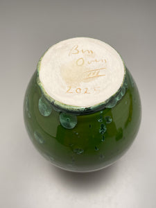 Bottle in Lily Pad Green Crystalline, 8"h (Ben Owen III)