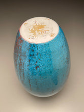 Load image into Gallery viewer, Dogwood Vase in Chinese Blue, 13&quot;h (Ben Owen III)
