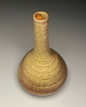 Load image into Gallery viewer, Genie Bottle in Ash Glaze, 12.75&quot;h (Ben Owen III)
