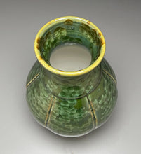 Load image into Gallery viewer, Melon Han Vase in Lily Pad Green Crystalline, 9&quot;h (Ben Owen III)
