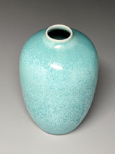 Load image into Gallery viewer, Egg Vase #1 in Blue Frost Microcrystalline, 6"h (Ben Owen III)
