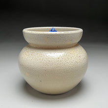 Load image into Gallery viewer, Covered Jar in Salt Glaze &amp; Cobalt Grapevine, 5.75&quot;h (Ben Owen Sr.)
