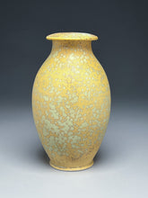 Load image into Gallery viewer, Covered Jar in Stardust Green #1 , 10"h (Ben Owen III)
