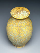Load image into Gallery viewer, Covered Jar in Stardust Green #1 , 10"h (Ben Owen III)
