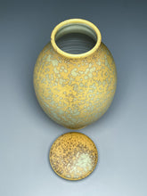 Load image into Gallery viewer, Covered Jar in Stardust Green #1 , 10"h (Ben Owen III)
