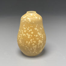 Load image into Gallery viewer, Gourd Vase in Stardust Yellow, 6"h (Ben Owen III)
